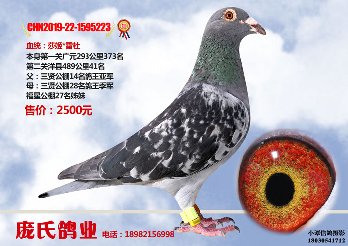 ABUIABACGAAg6IWqgAYo8dXn4QMwvAU47wM.jpg