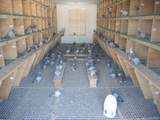 DSCN7098.JPG