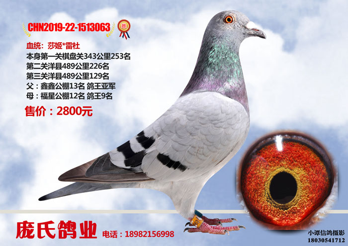 ABUIABACGAAgiYOqgAYo_PCPjQIwvAU47wM.jpg