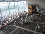 DSCN7175.JPG