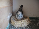 DSCN7120.JPG