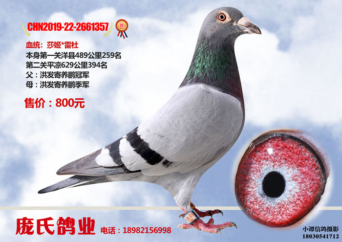 66-CHN2019-22-2661357 拷贝.jpg