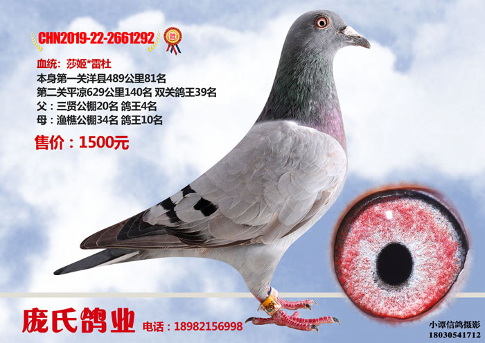 67-CHN2019-22-2661292 拷贝.jpg