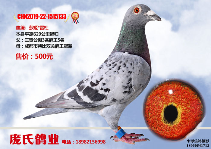 78-CHN2019-22-1515133 拷贝.jpg
