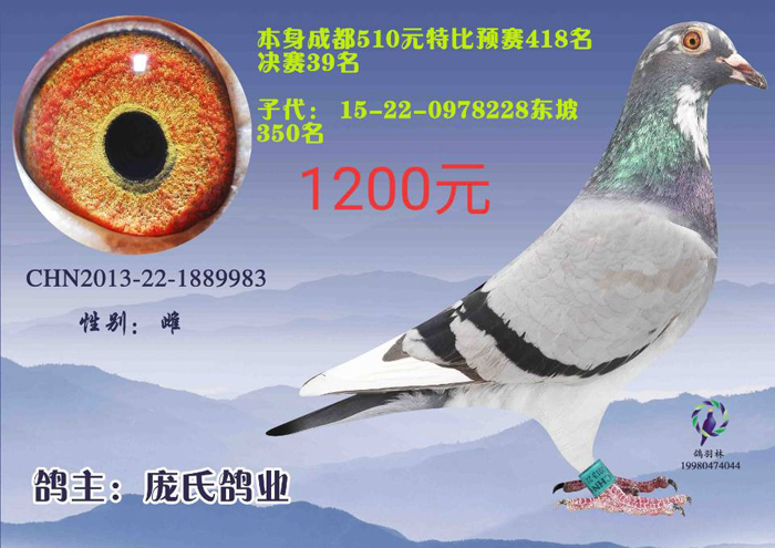 QQ图片20191231121204.jpg