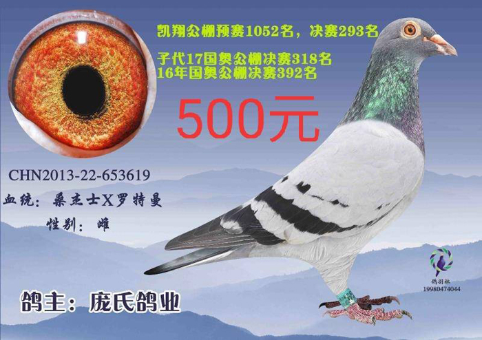 QQ图片20191231121232.jpg
