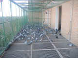 DSCN7138.JPG